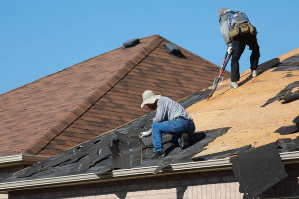 Best Roof Insulation Installation  in Debary, FL